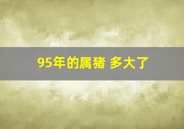 95年的属猪 多大了